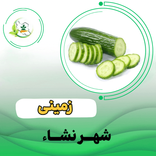 زیکو