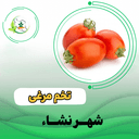 گوجه فرنگي  1585 پاکت