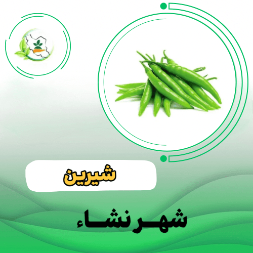 فلفل قلمي پویا