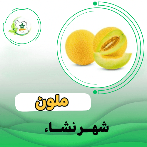 خربزه آریانا