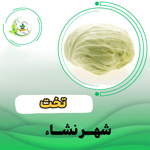 کلم پيچ سفيد - گرین کورنت