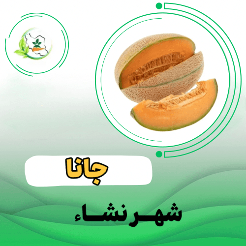خربزه جانا