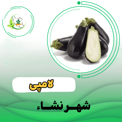 بادمجان   دنیز