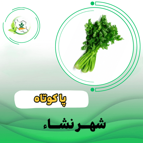 کرفس سیاه پا کوتاه