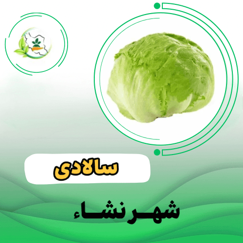 کاهو سالادي - گرمسیری ۳