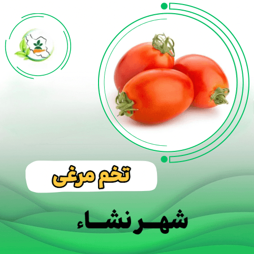 گوجه فرنگي  گلخانه اي - چری