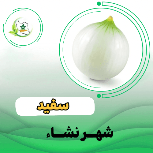 پیاز سفید روز بلند