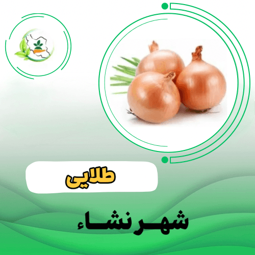 پیاز زرد روز کوتاه