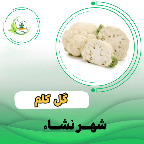 گل کلم اس جی زودرس(65 روزه)