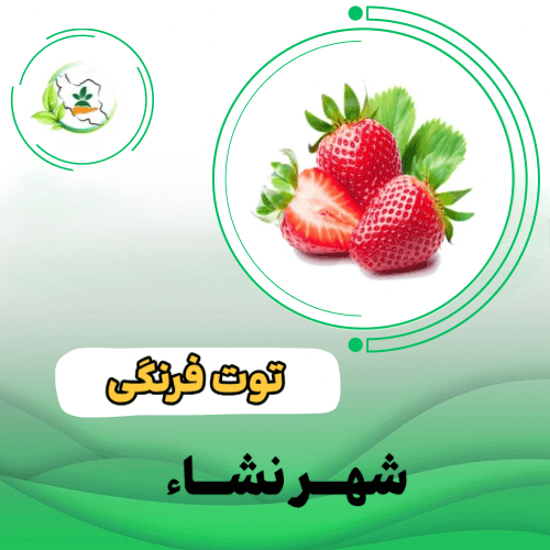 توت فرنگی سابرینا