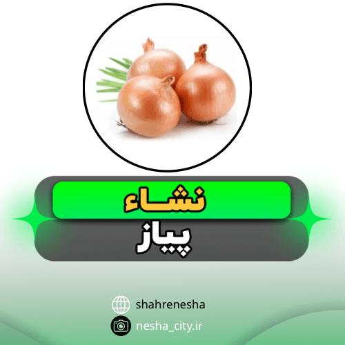 پیاز