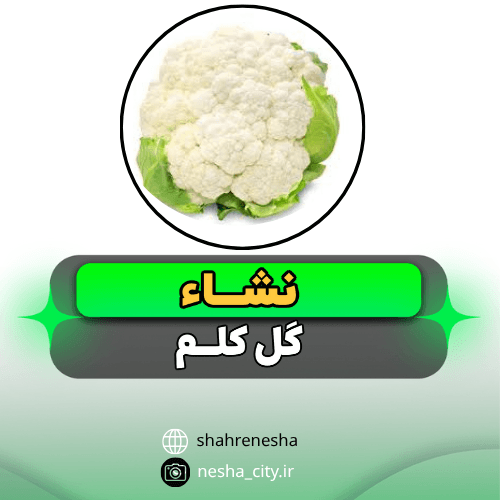 گل کلم