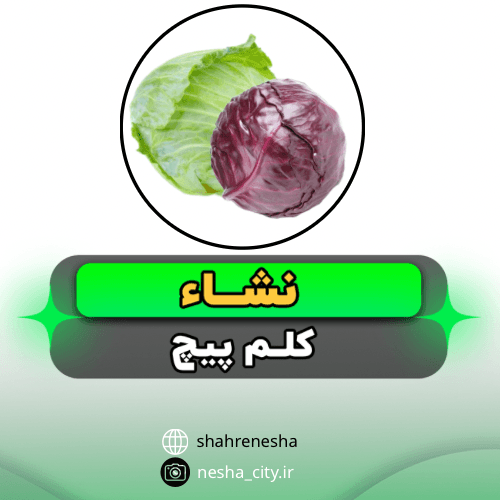کلم پيچ