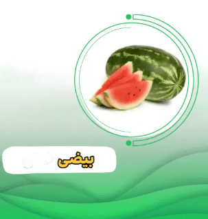 بیضی لیمان