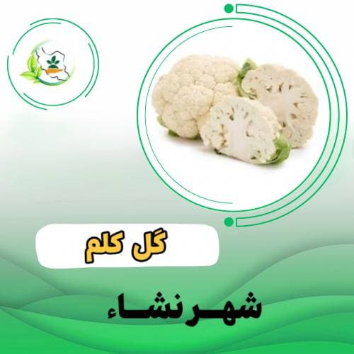 اسمیلا-smilla