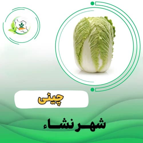کاهو  چینی