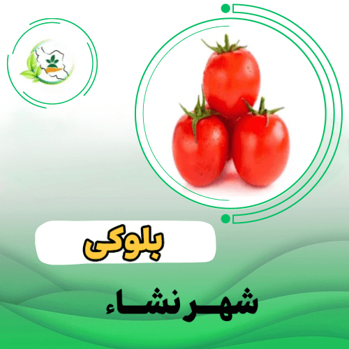 گوجه فرنگي slx