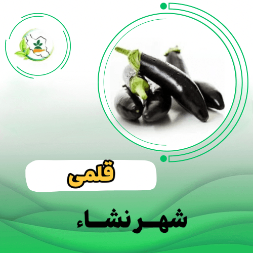 بادمجان  کلش