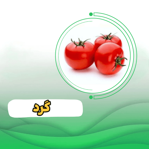 گوجه فرنگي 1012