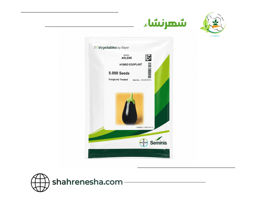 نشا-بادمجان-ارلن