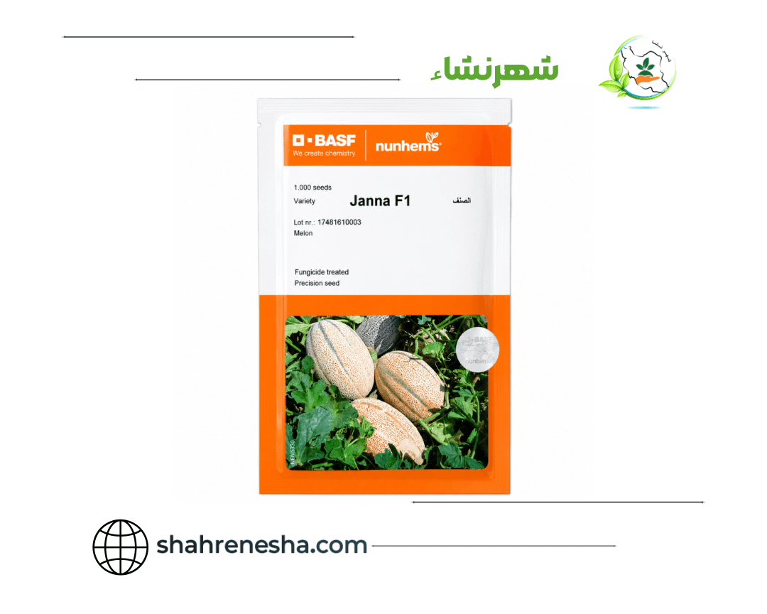 نشا-خربزه-جانا