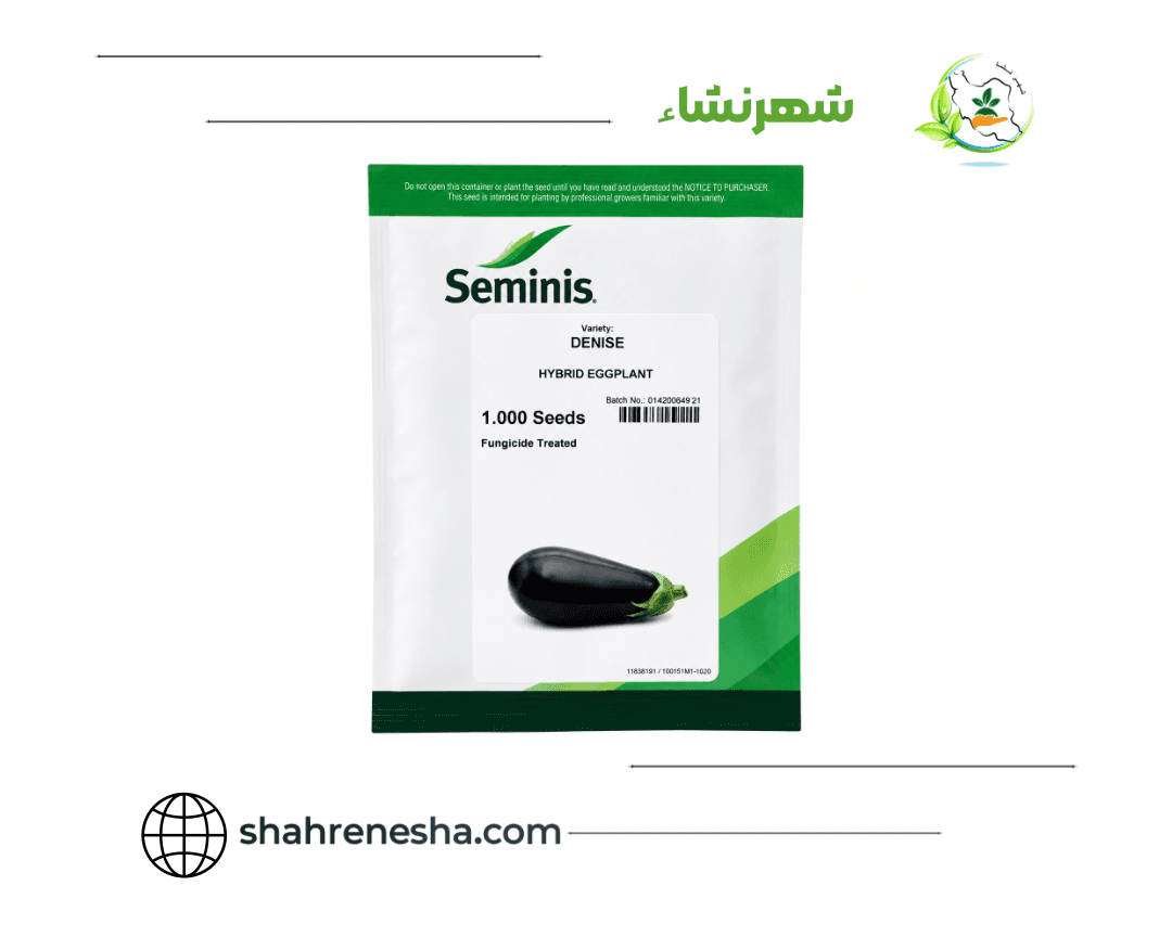 نشا-بادمجان- دنیز