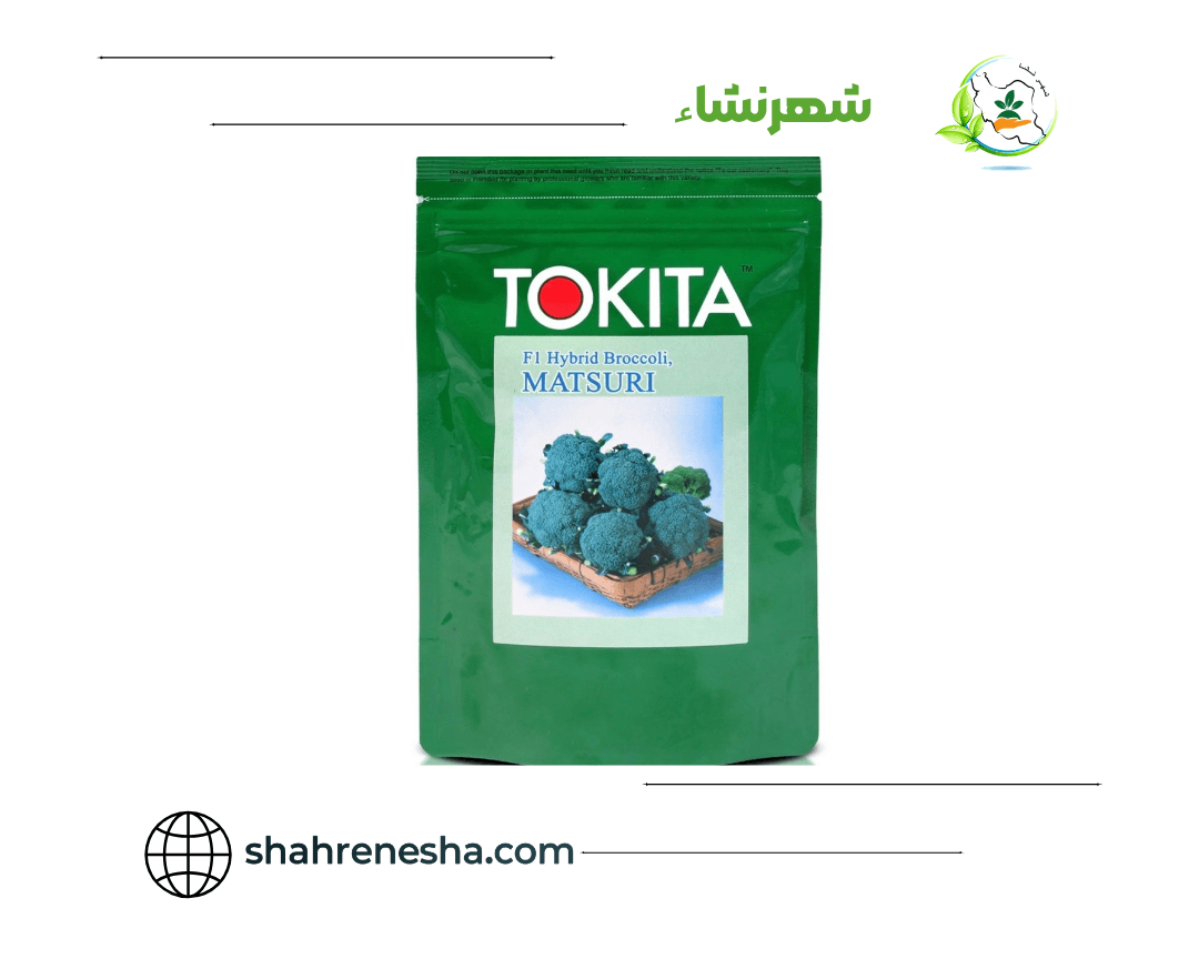 نشا-بروکلی-ماتسوری