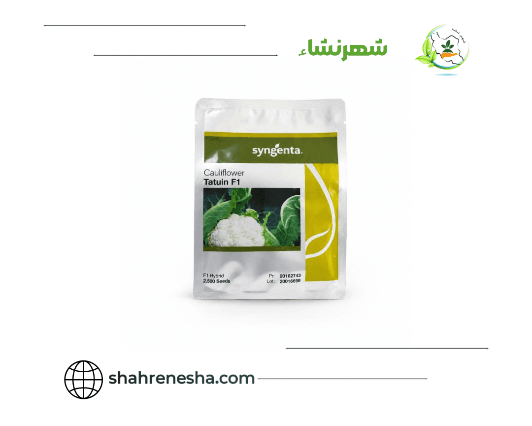 نشا-گل کلم-تاتوئین