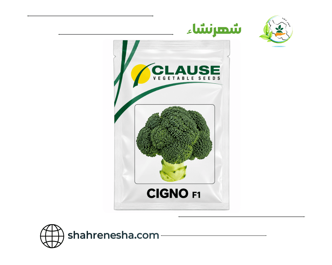 نشا-بروکلی-سیگنو