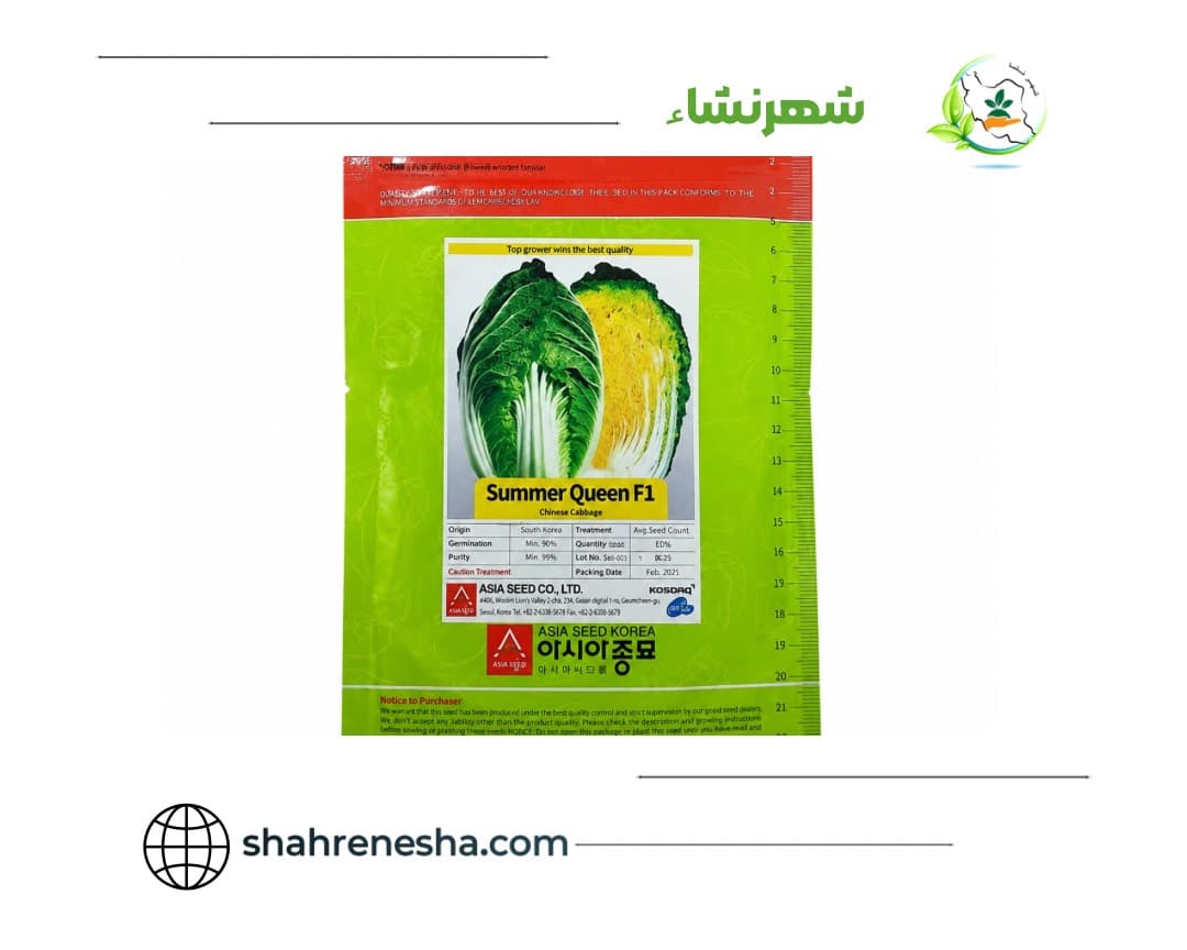 نشا-کاهو-چینی سامرکوئین