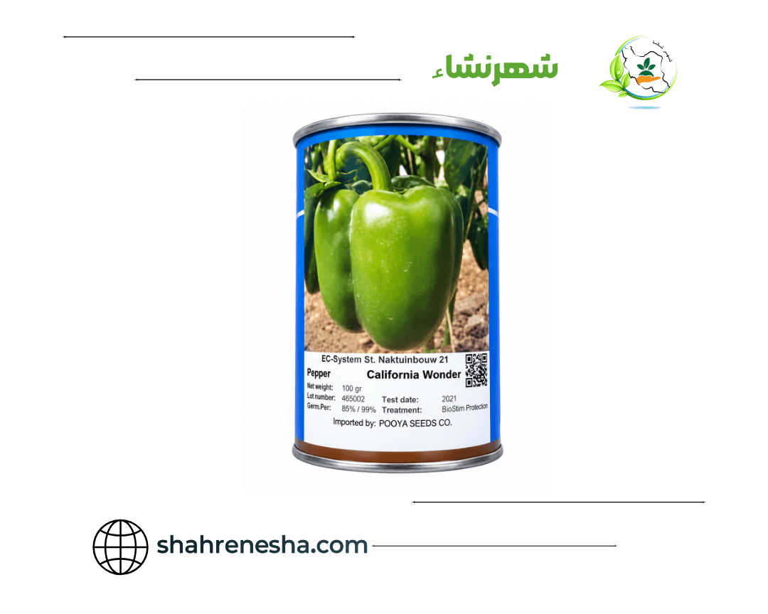نشا-فلفل-دلمه اي - کالیفرنیا