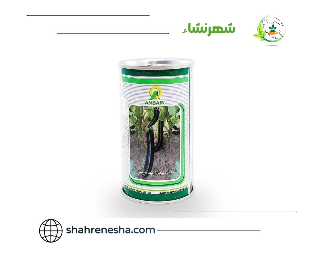 نشا-بادمجان- چاه بلند