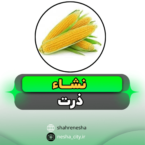 ذرت