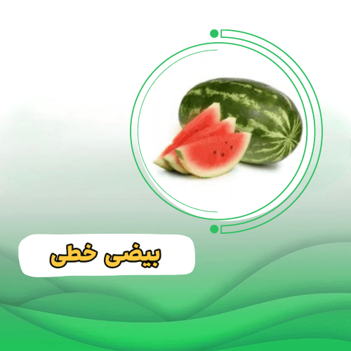 هندوانه ناسکو
