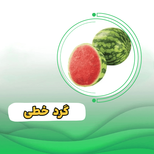 هندوانه اسکارا