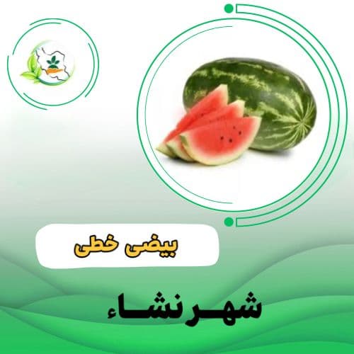 هندوانه ساتبرگ