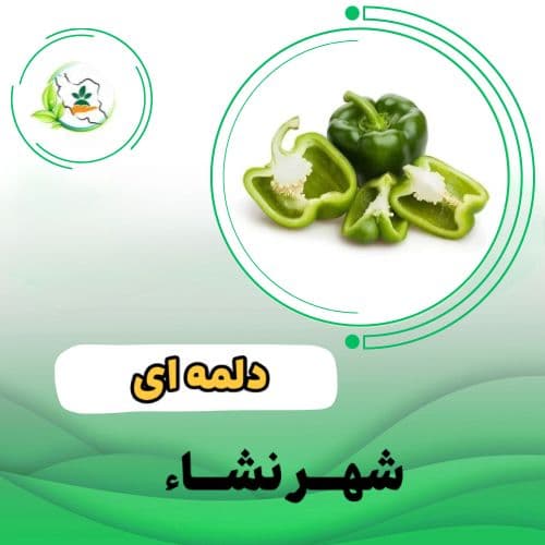 فلفل دلمه 9325