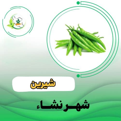 فلفل قلمی عنبری