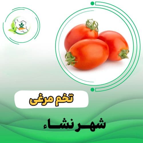 گوجه فرنگي ساکاتا کنیون ۸۵۷ ق