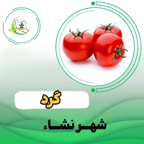 گوجه فرنگي ارمغان